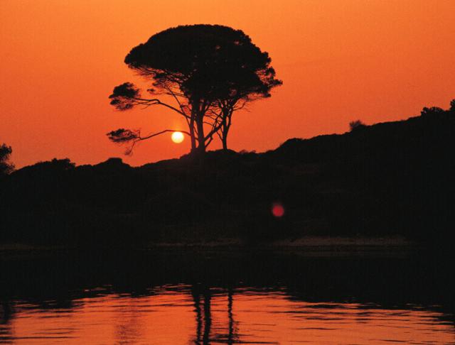 SUNSET2.JPG