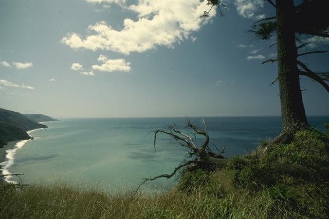 117050B.JPG
