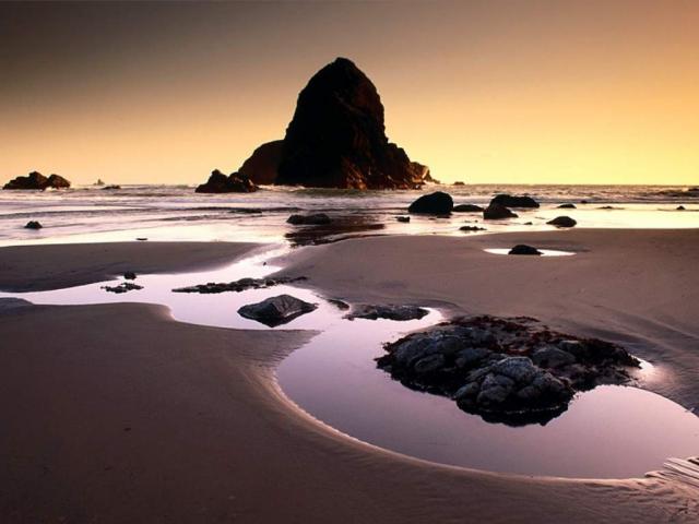 Boardman State Park_ near Brookings-Harbor_ Oregon.JPG