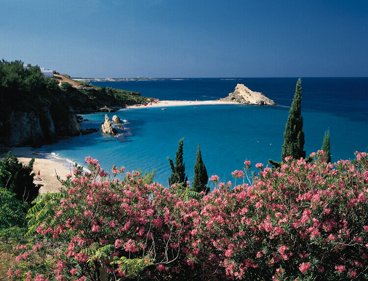 COVE2.JPG