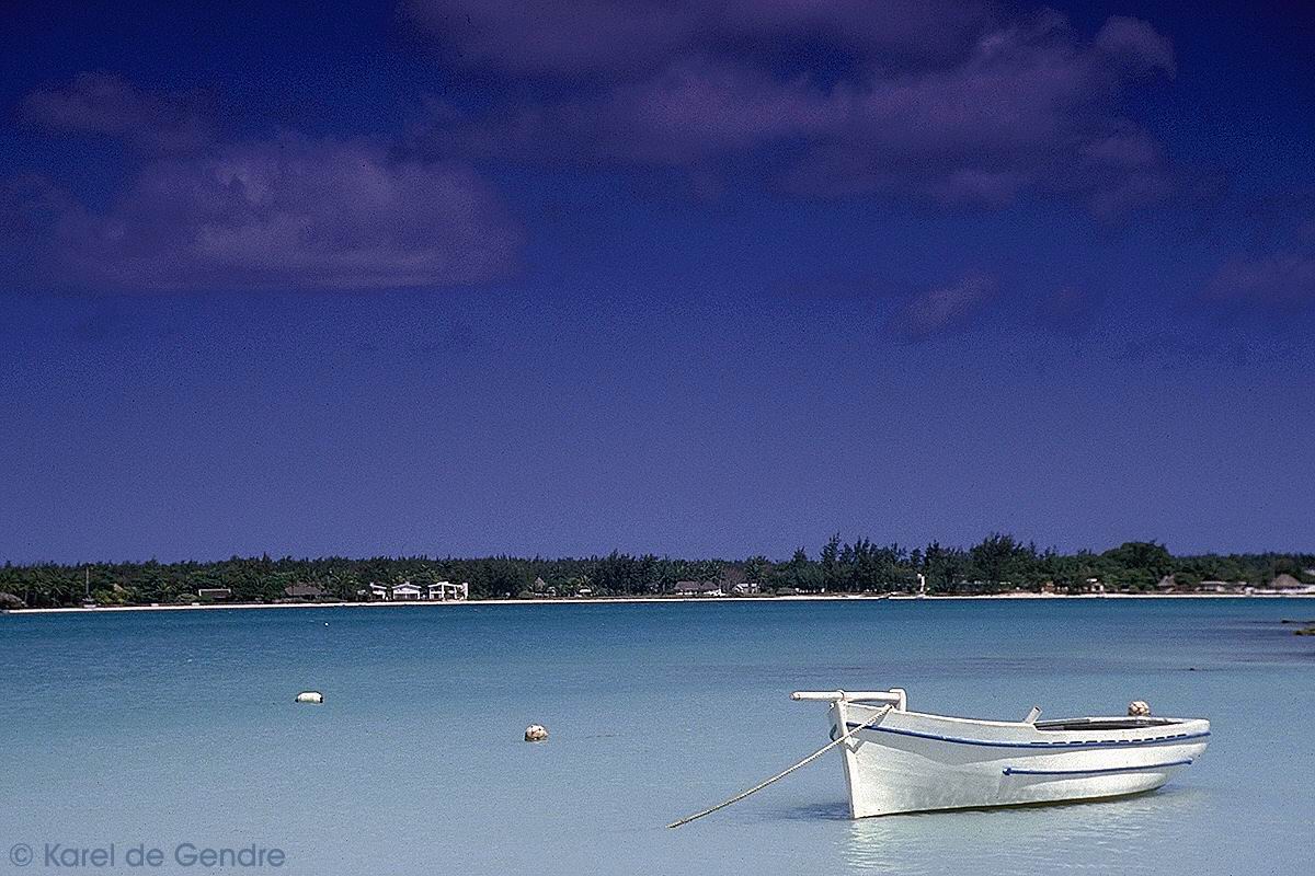 IMG0184.jpg