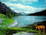 LAKE_06.JPG
