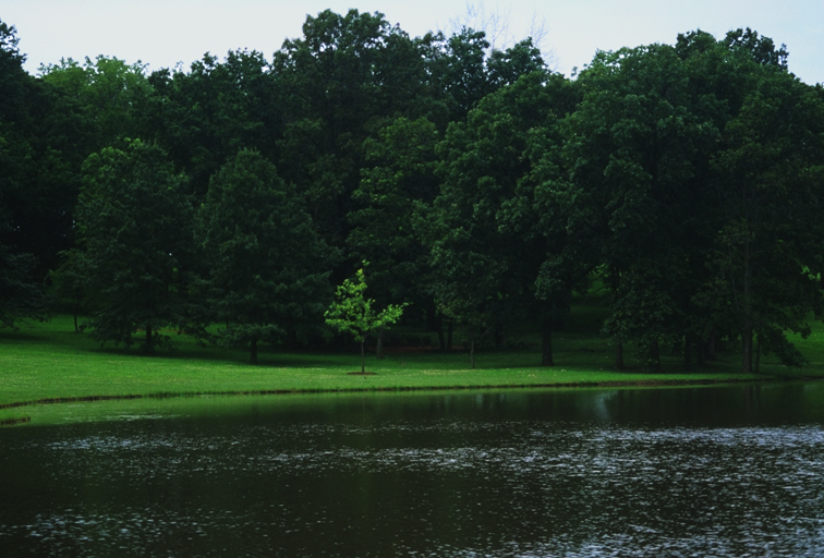 LAKESIDE.JPG