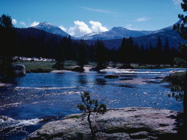 N167078.JPG