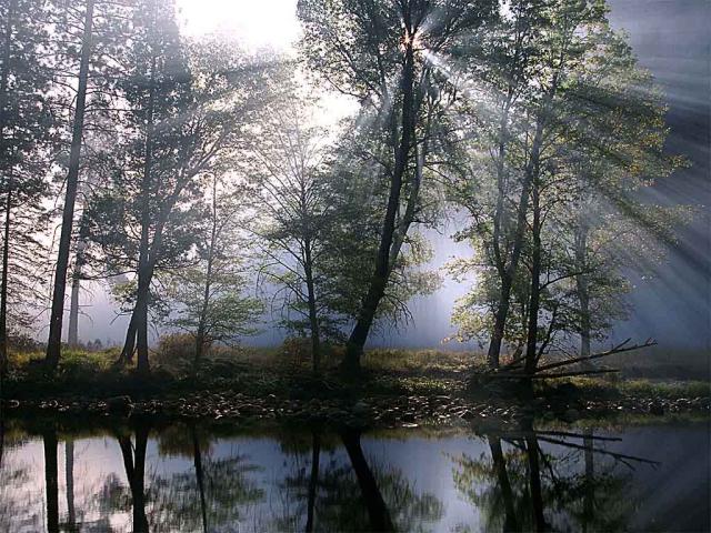 nature107.jpg