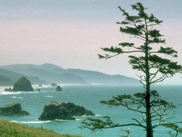 nature109.JPG