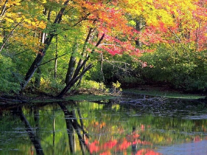 nature12.jpg