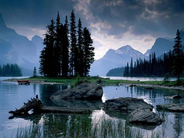 nature147.jpg