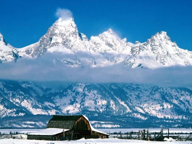 nature153.jpg