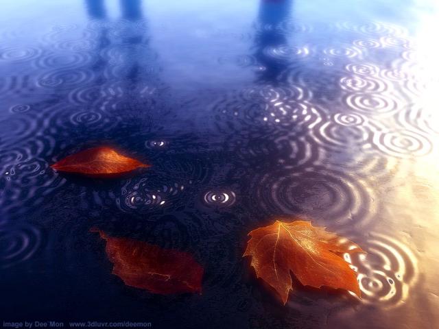 nature158.jpg