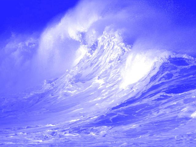 nature159.jpg