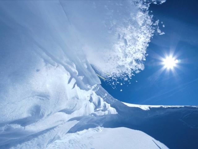 nature238.jpg