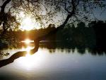 nature27.jpg