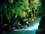 nature49.jpg