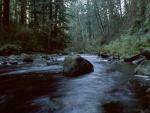 nature60.jpg