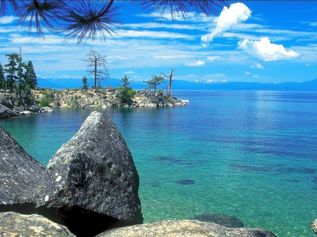 nature75.JPG