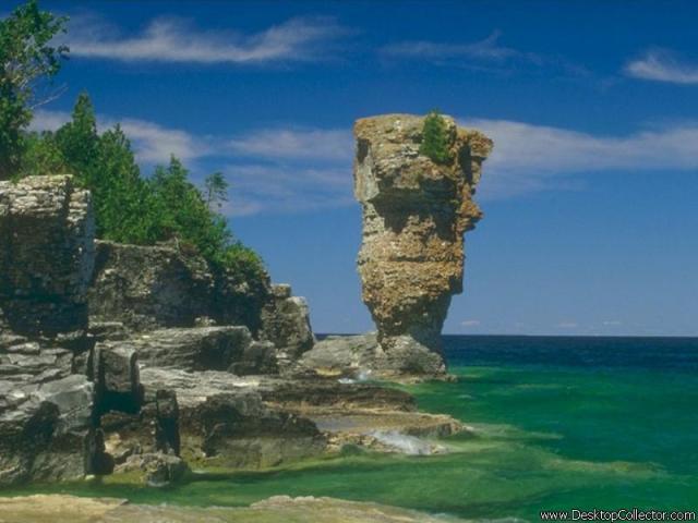 Nature_15.jpg