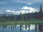 Nature_39.jpg