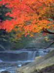 Swallow Falls.jpg