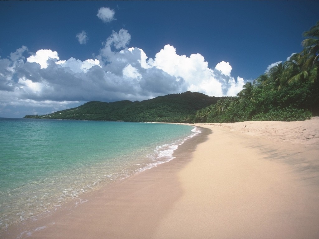 The Nicebeach.jpg