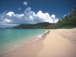 The Nicebeach.jpg