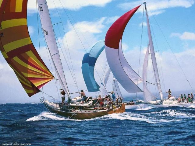 yacht.jpg