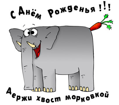 bd037.jpg