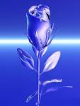 foryou.jpg