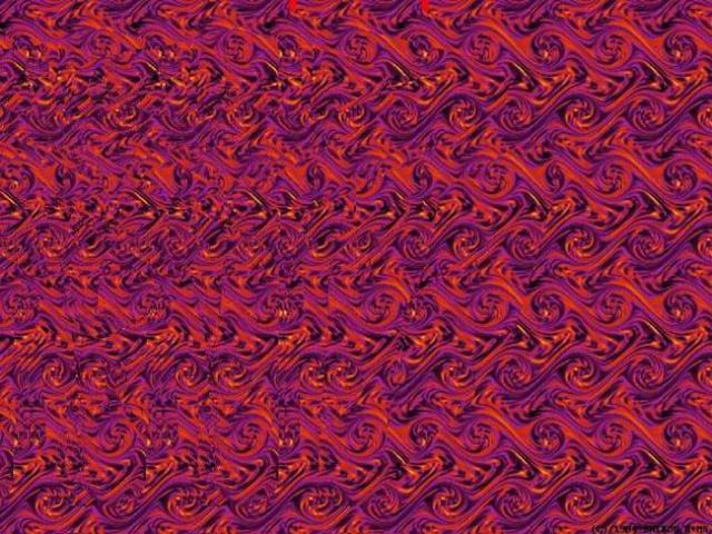 mzgsirds-043.jpg
