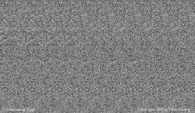 mzgsirds-089.jpg