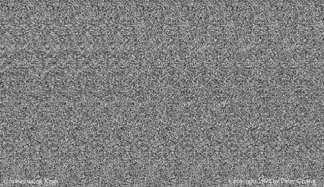 mzgsirds-089.jpg