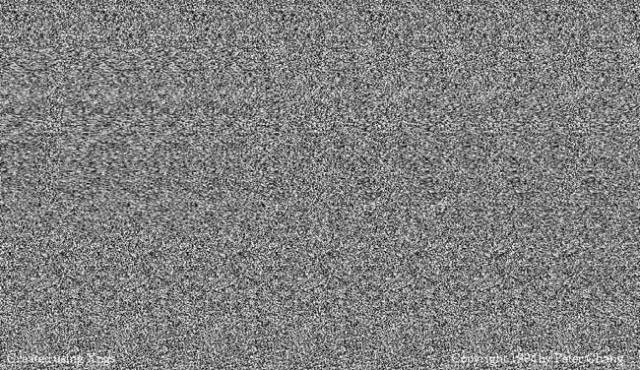 mzgsirds-089.jpg