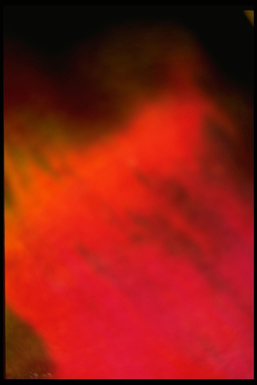 403027.JPG