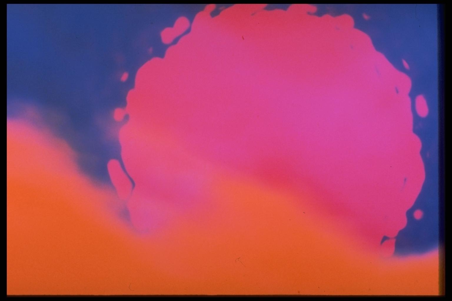 403080.JPG
