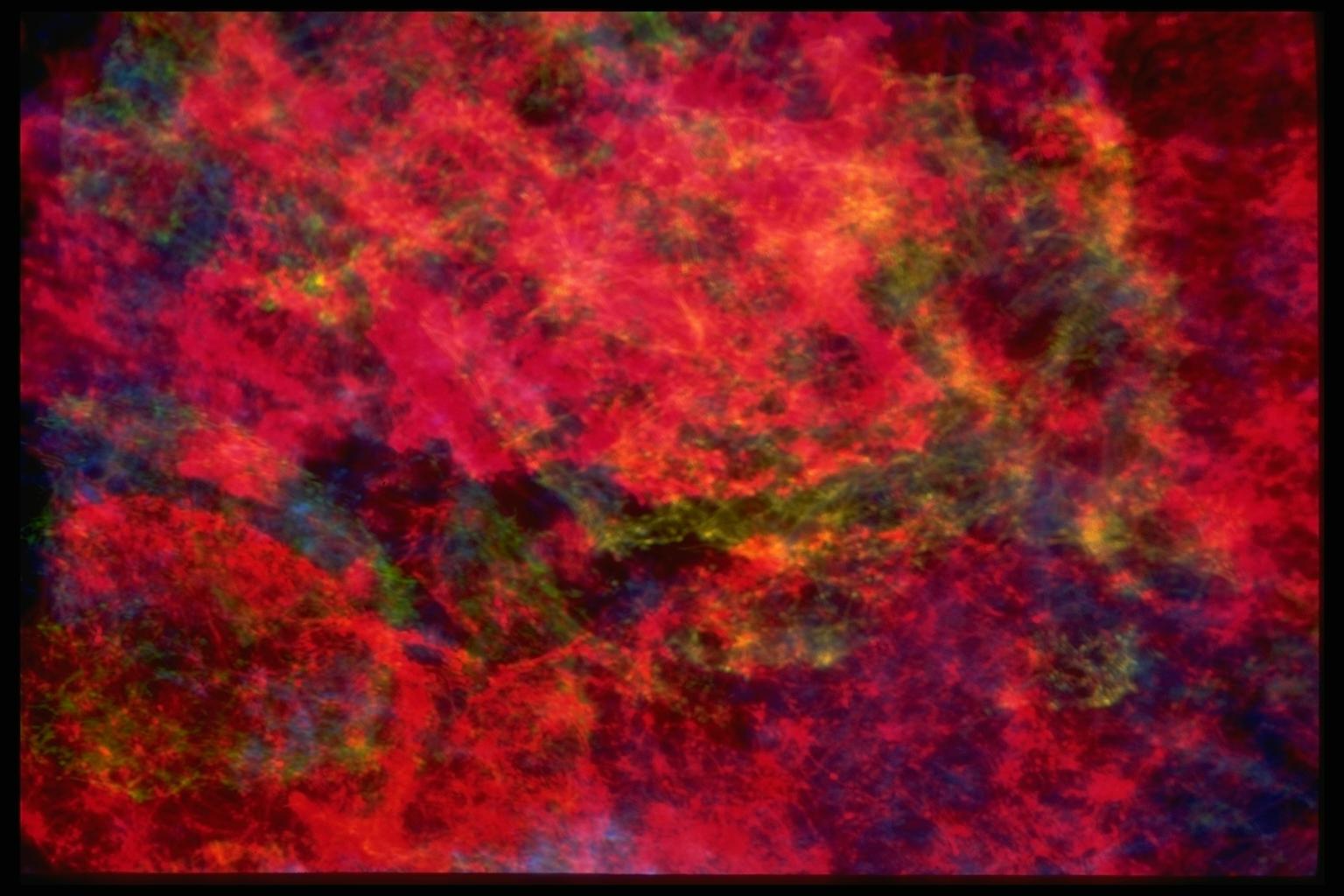403084.JPG