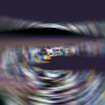 SPINOID3.JPG