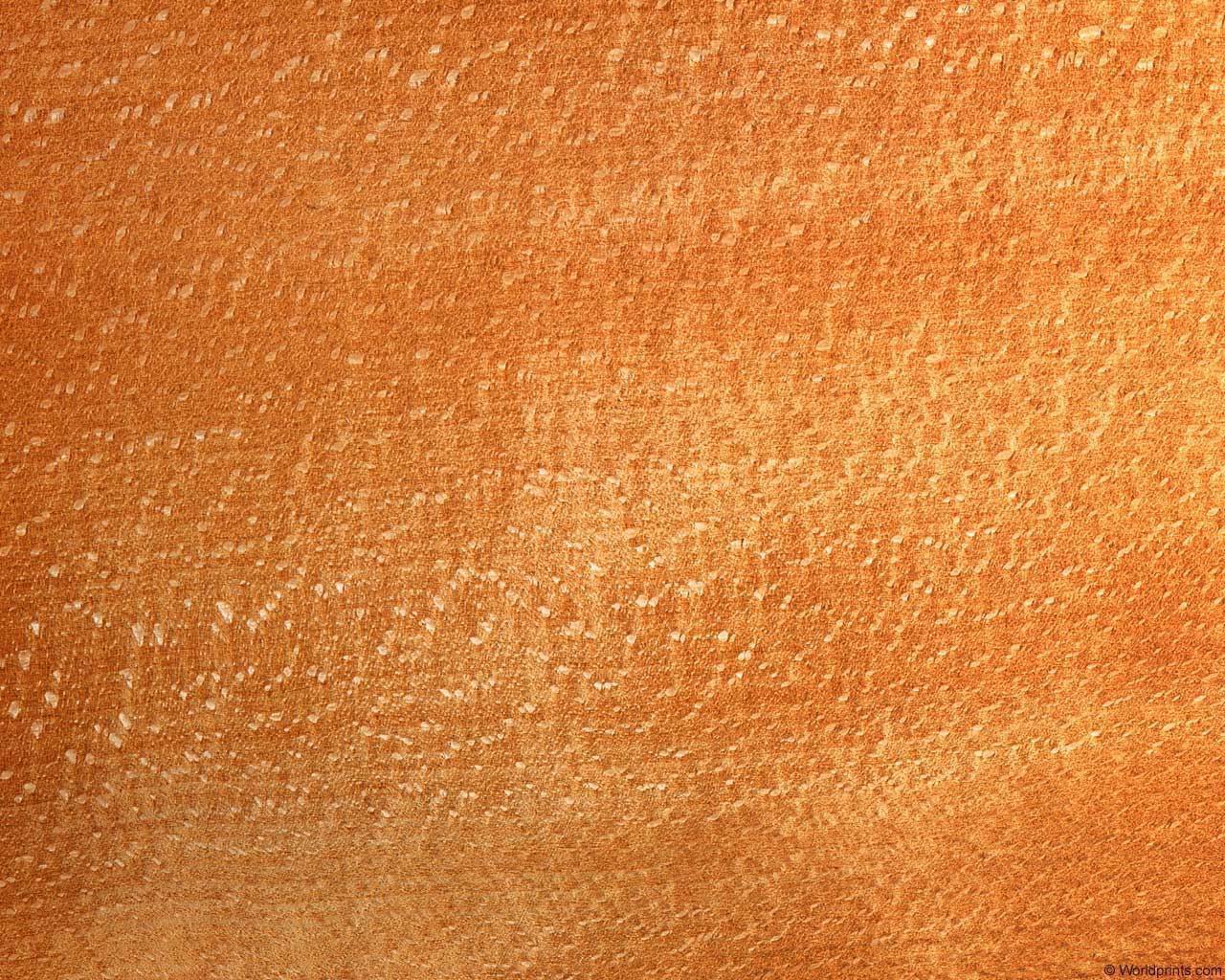 beech.jpg
