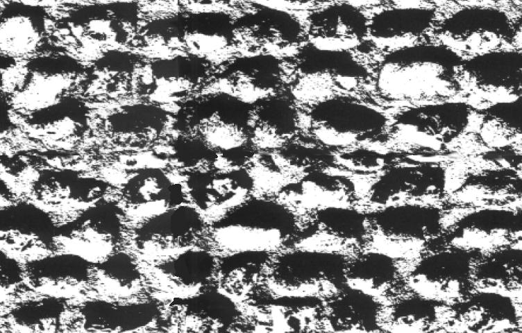 BWSTON_1.JPG