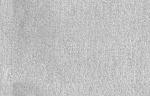 CARPET24.JPG