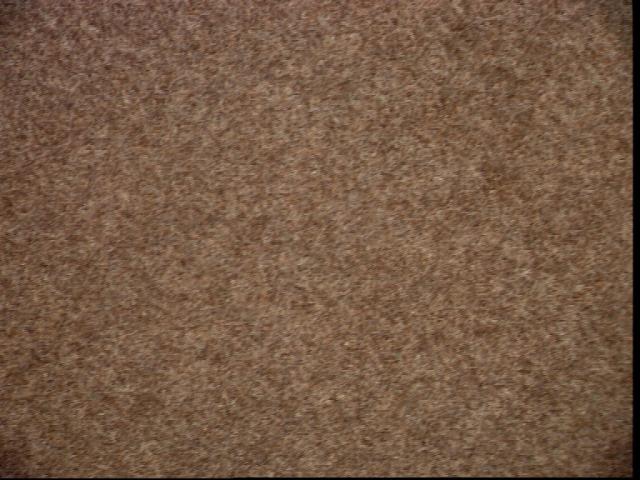 FLOOR.JPG