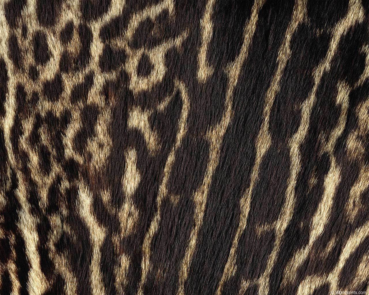 animal_patterns_90.jpg