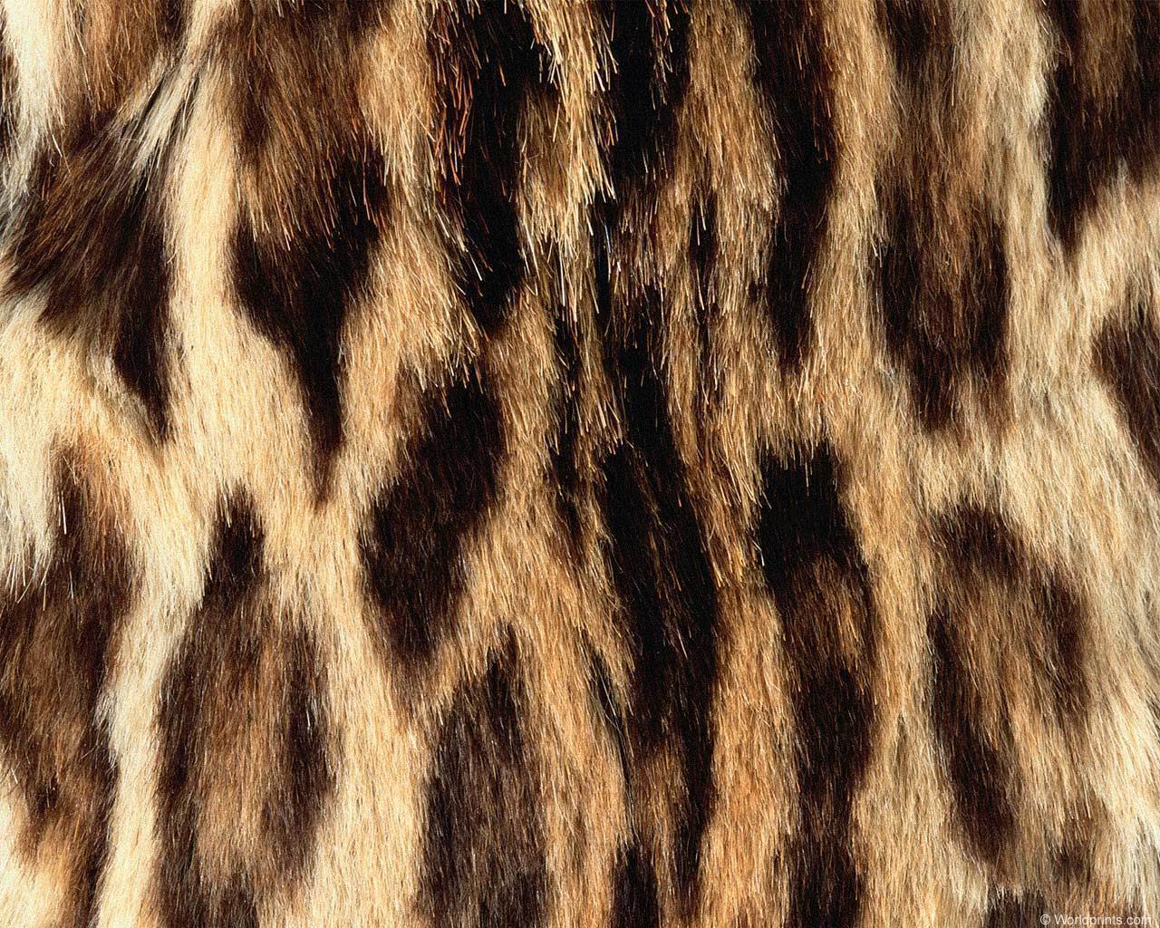 animal_patterns_92.jpg