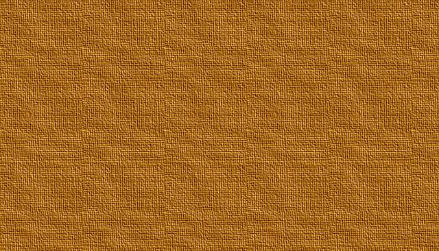 CANVAS.JPG