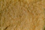 TEXTUR04.JPG