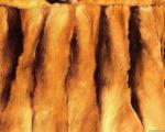 animal_patterns_64.jpg