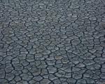 cracked_mud.jpg