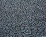 cracked_mud.jpg