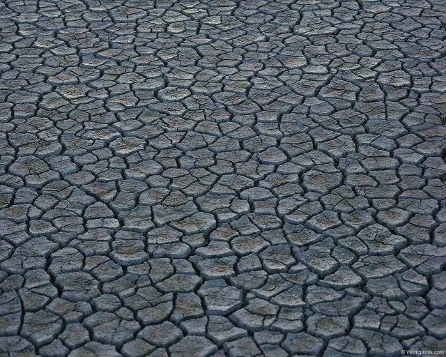 cracked_mud.jpg