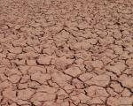 cracked_mud_2.jpg