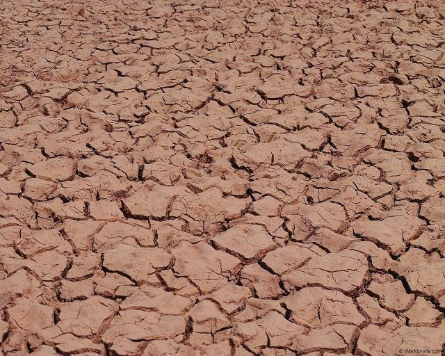 cracked_mud_2.jpg